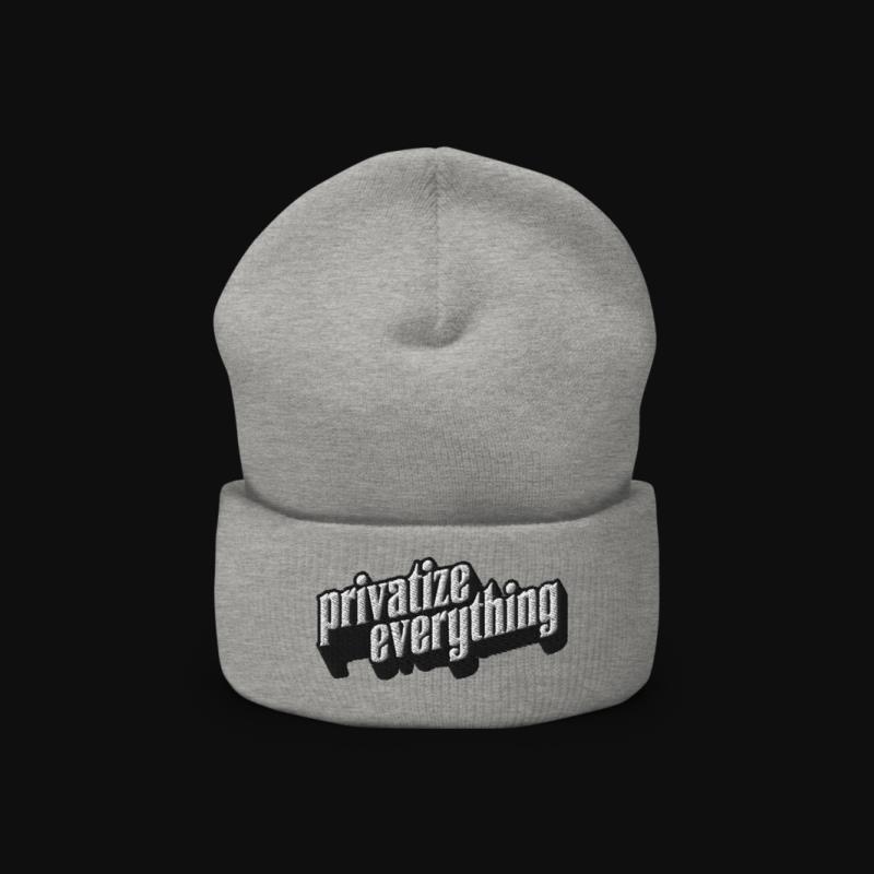 Headware: Privatize Everything Beanie