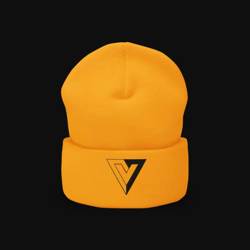 Headware: Voluntarismus Beanie